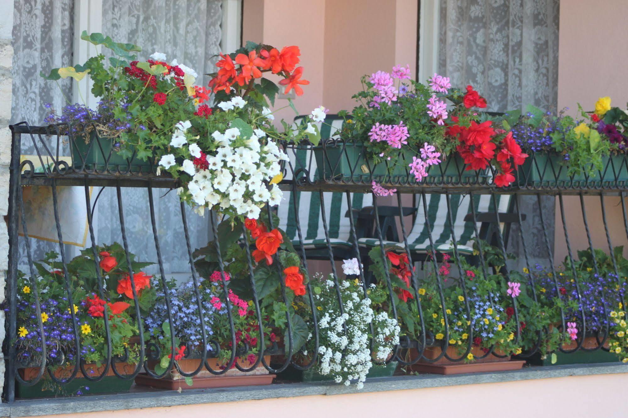 Balcone Fiorito Acomodação com café da manhã Menaggio Exterior foto